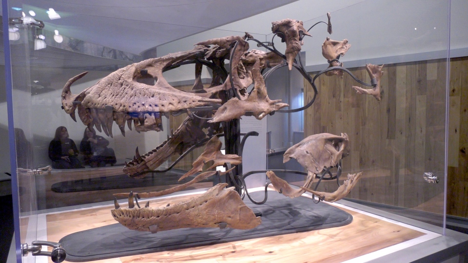 Drumheller Museum
