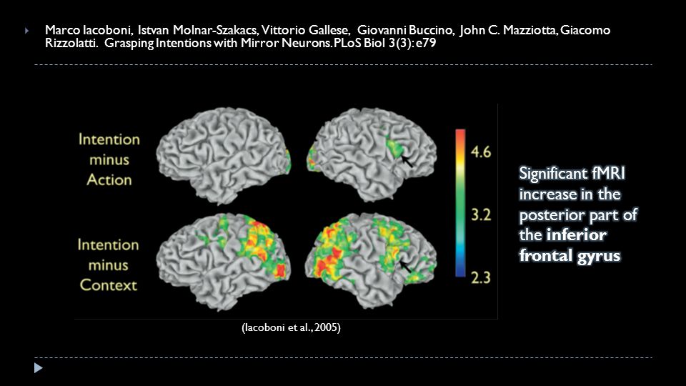 Mirror Neurons Free Democracy