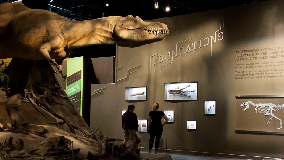 Drumheller Museum