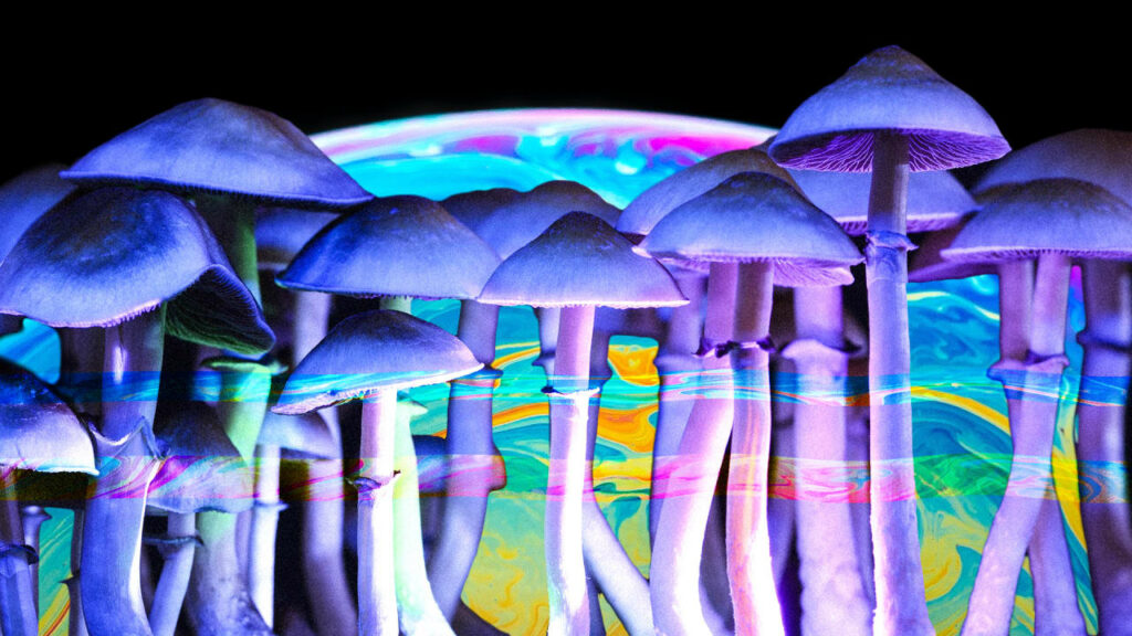 Magic Mushrooms